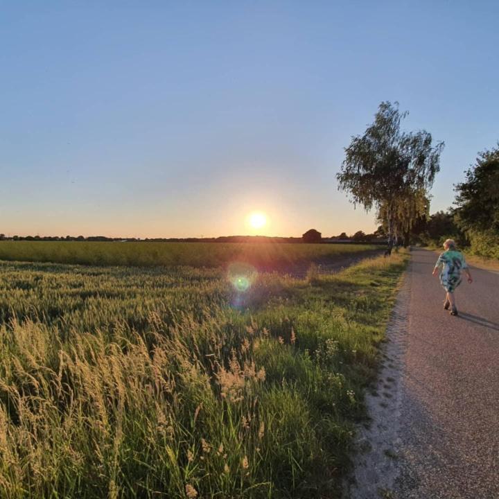 De Vliegende Vlinder Nederweert Exterior foto