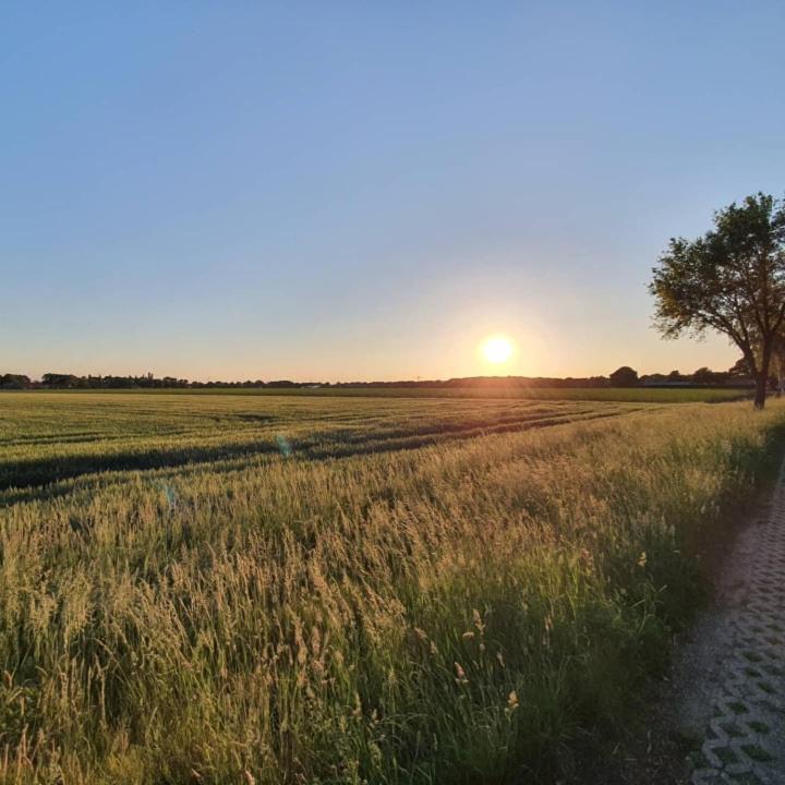 De Vliegende Vlinder Nederweert Exterior foto