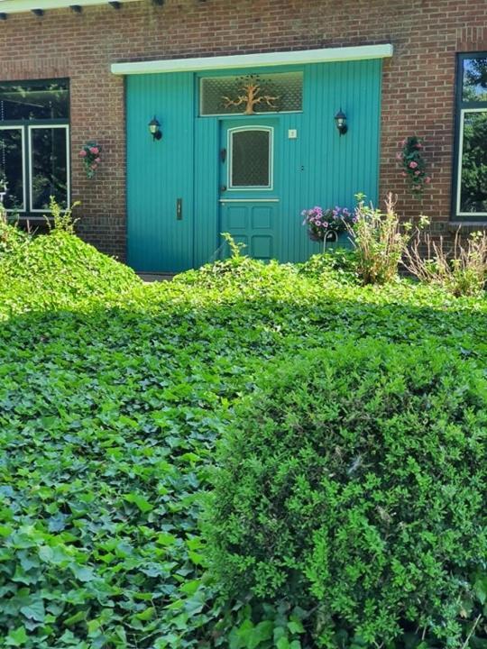 De Vliegende Vlinder Nederweert Exterior foto