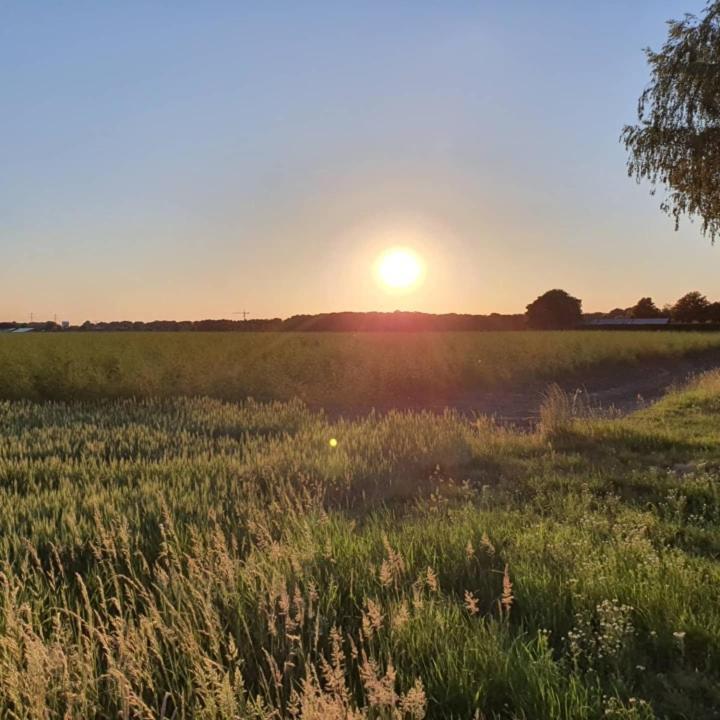 De Vliegende Vlinder Nederweert Exterior foto